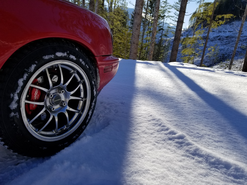 Illustration for article titled Miata vs. Wild
